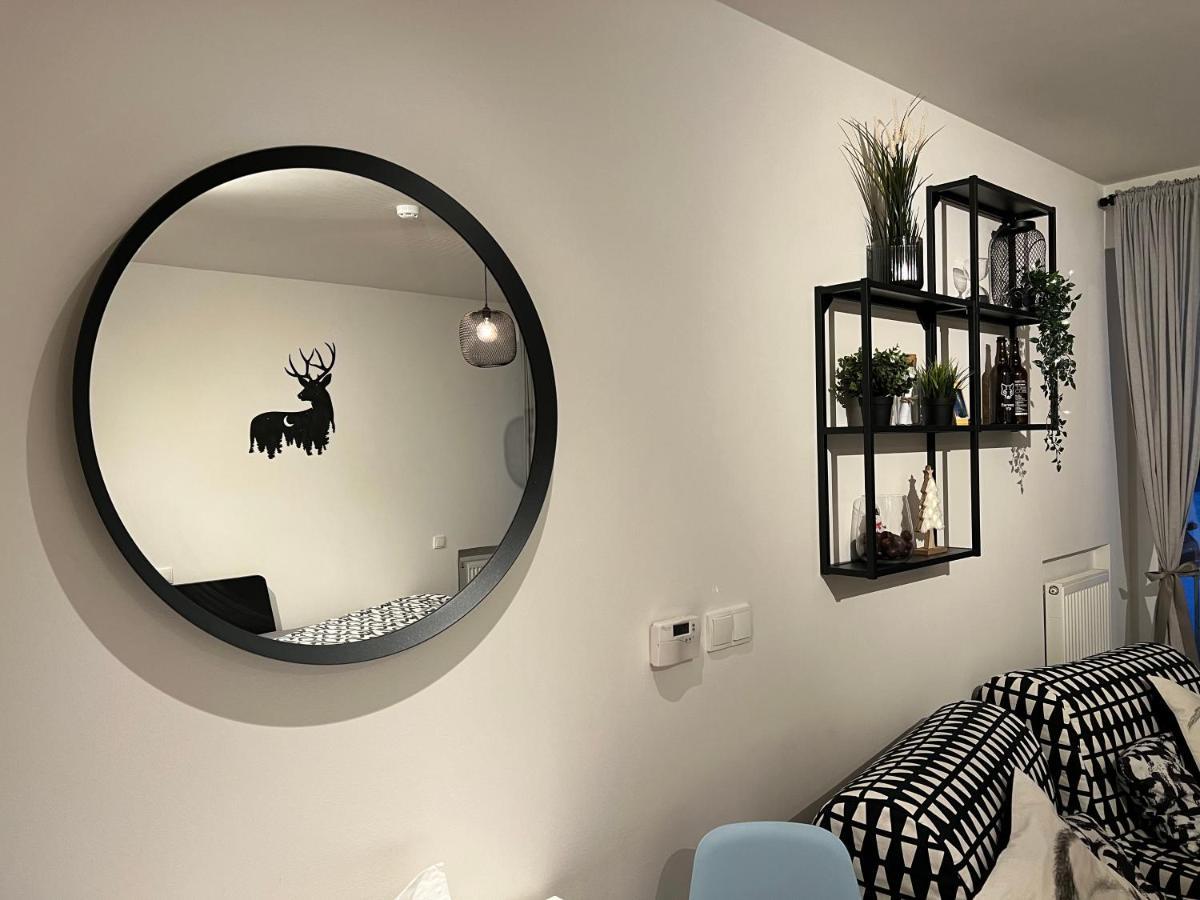 Apartamento Nelis Apartmán Klínovec Loučná pod Klínovcem Exterior foto