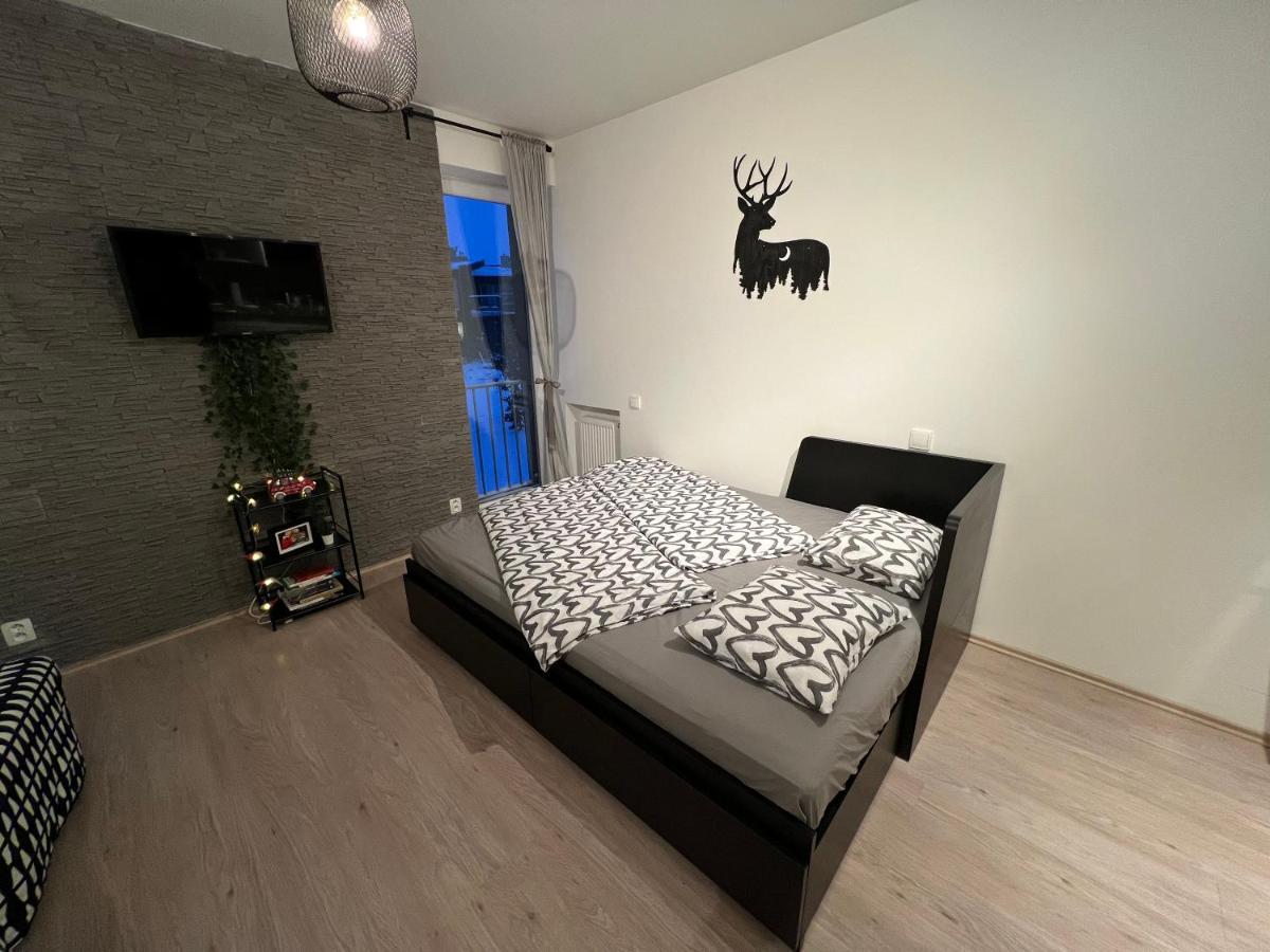 Apartamento Nelis Apartmán Klínovec Loučná pod Klínovcem Exterior foto